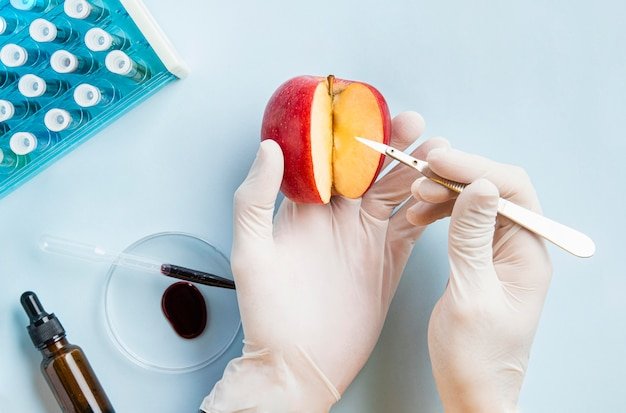 Nutrition and healthy eating concept